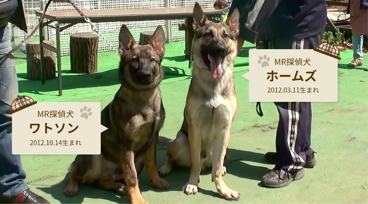 探偵犬