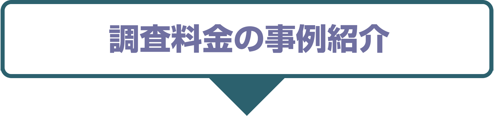 調査料金の事例紹介