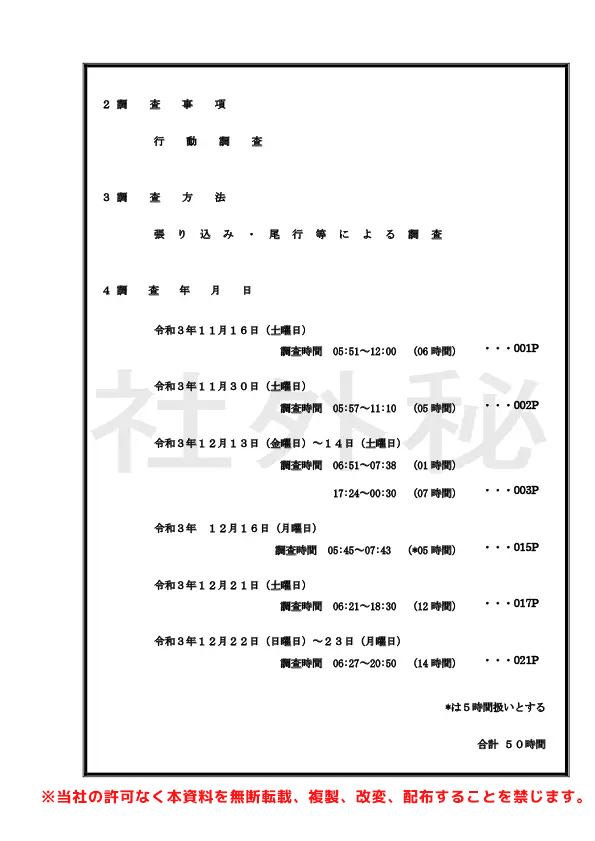 調査報告書サンプル2