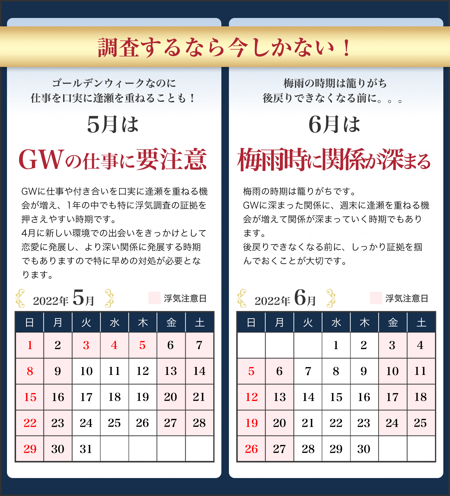 調査するなら今しかない!