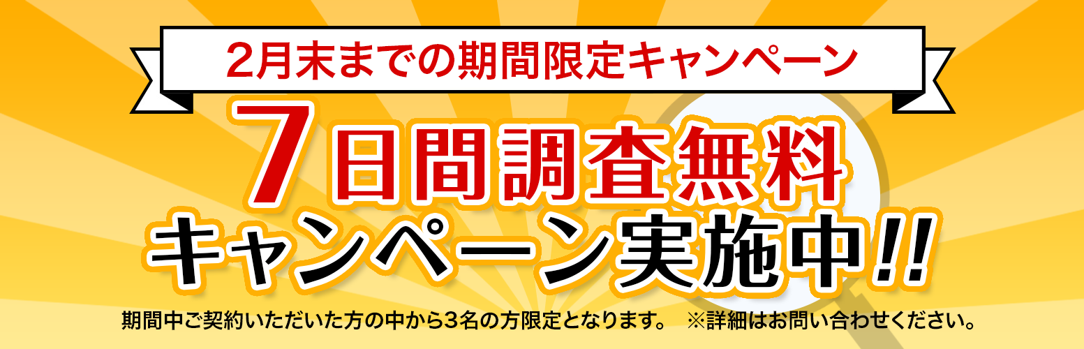 2月期間限定キャンペーン