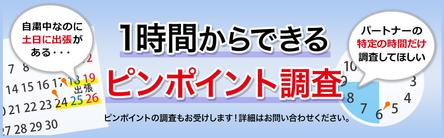 ピンポイント調査