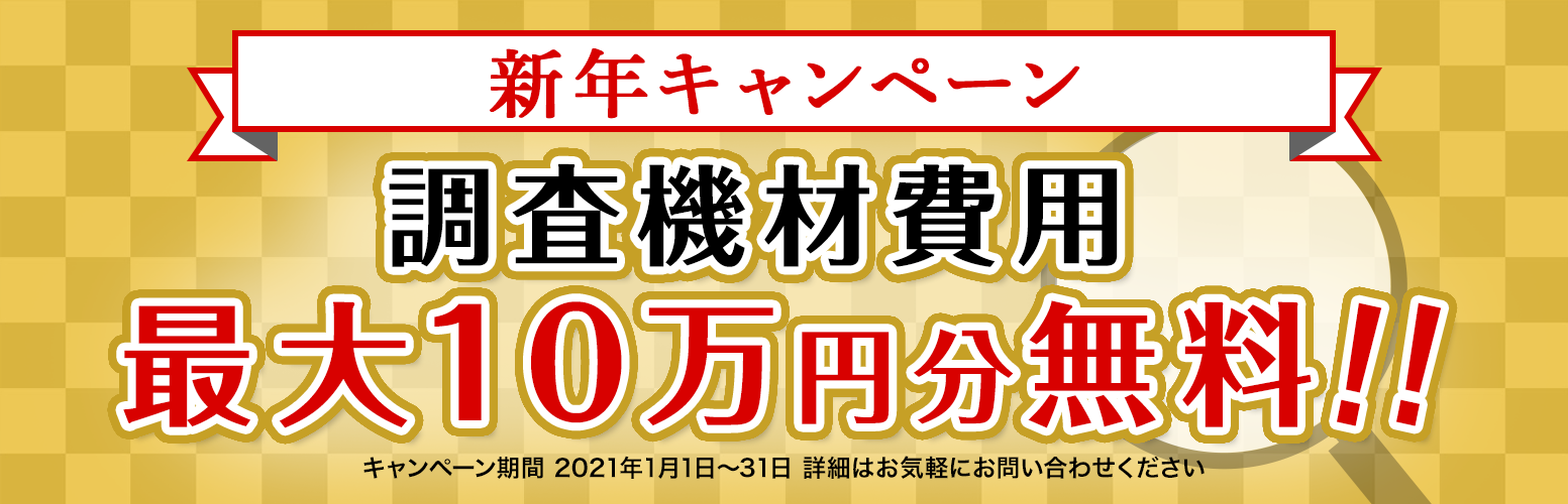 新年キャンペーン