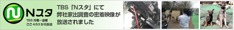 Nスタにて取材されました