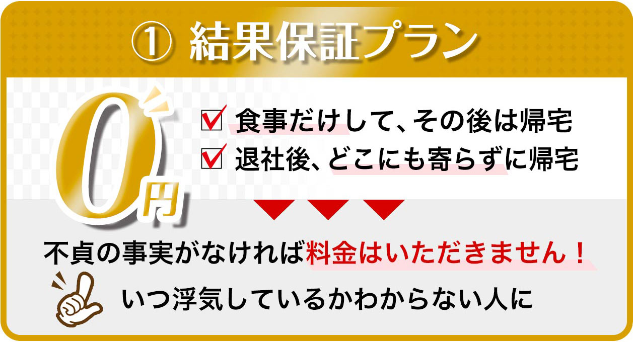 結果保証プラン