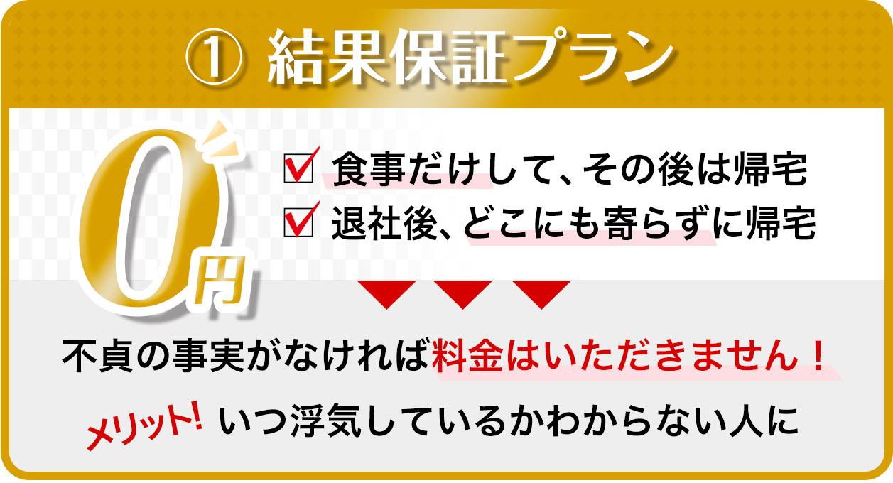 結果保証プラン