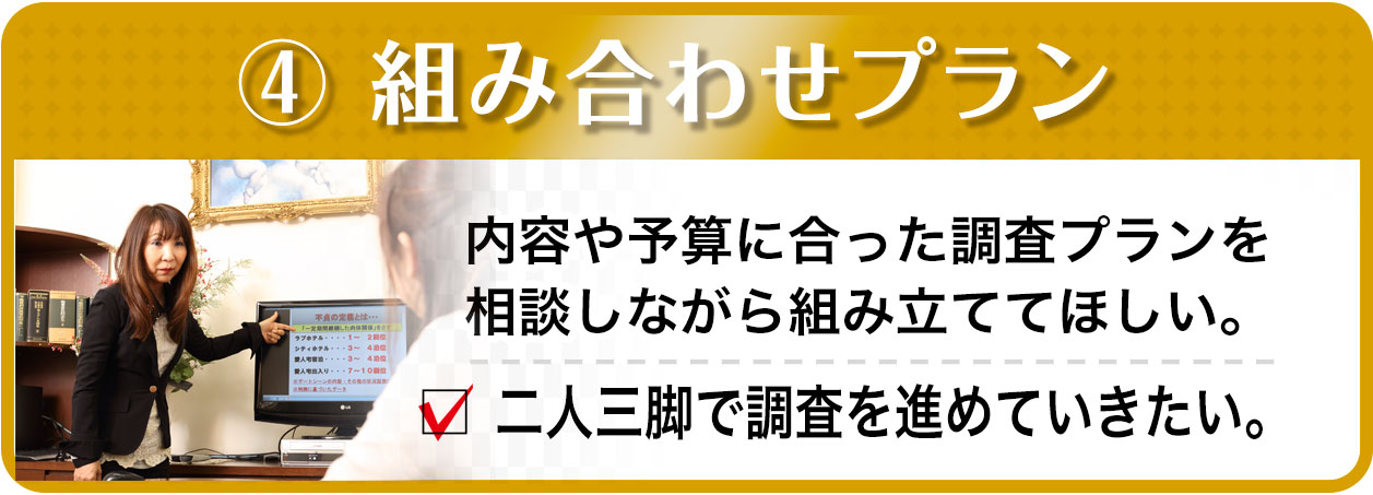 組み合わせプラン