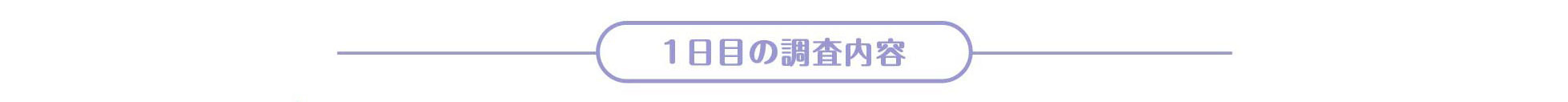 case1 1日目の調査内容