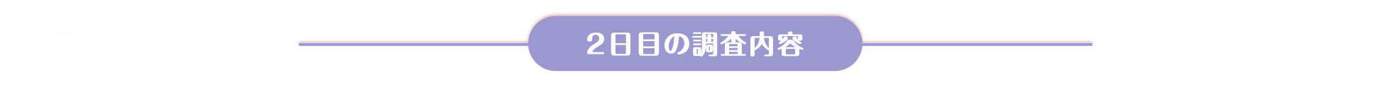 case1 2日目の調査内容