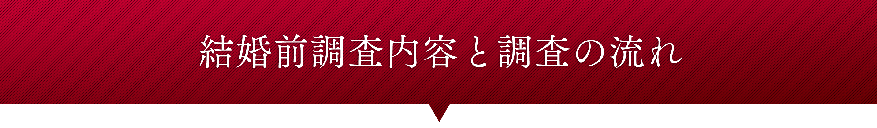 調査の流れ