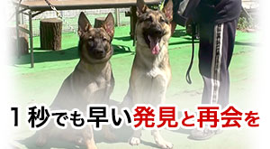 1秒でも早い再会と発見を