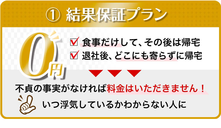 結果保証プラン