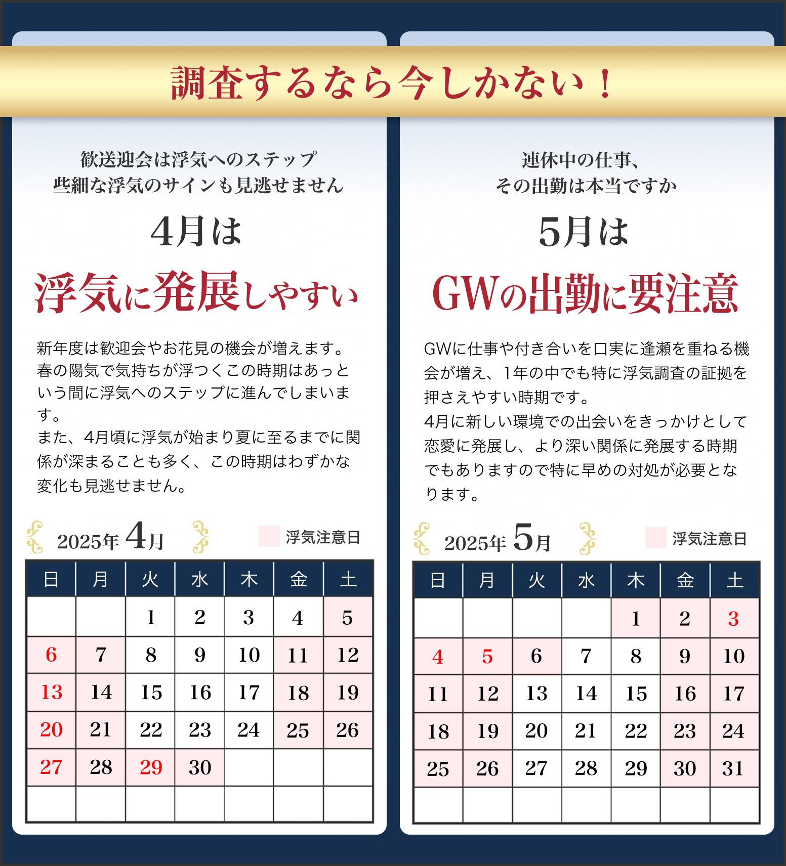調査するなら今しかない!