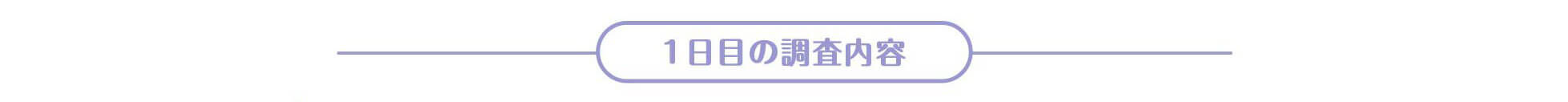 case1 1日目の調査内容