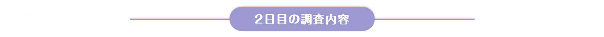 case1 2日目の調査内容