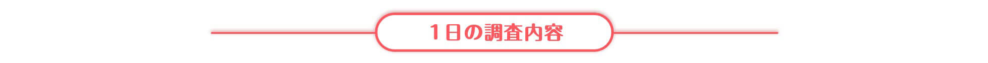 case2 1日の調査内容