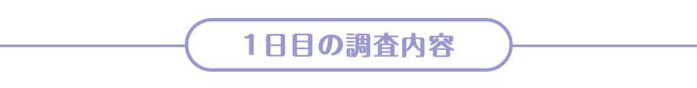 case1 1日目の調査内容