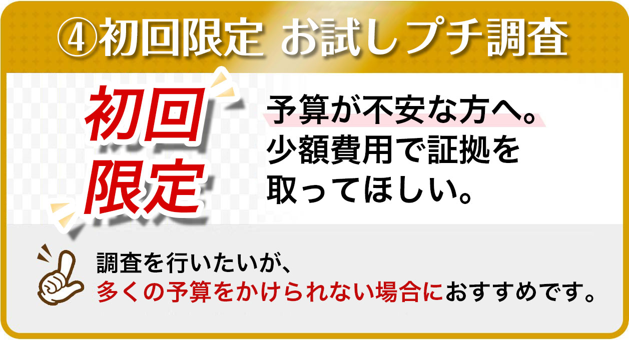 初回限定お試しプチ調査